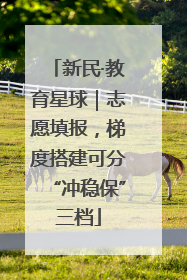 新民·教育星球｜志愿填报，梯度搭建可分“冲稳保”三档