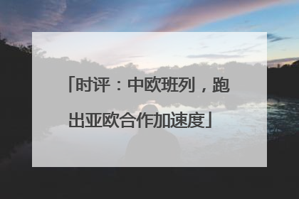 时评：中欧班列，跑出亚欧合作加速度