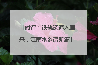时评：铁轨逶迤入画来，江南水乡谱新篇
