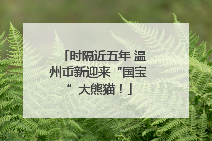 时隔近五年 温州重新迎来“国宝”大熊猫！