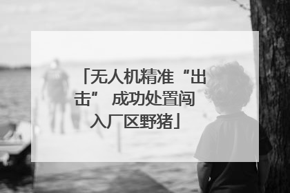 无人机精准“出击” 成功处置闯入厂区野猪
