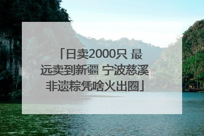 日卖2000只 最远卖到新疆 宁波慈溪非遗粽凭啥火出圈