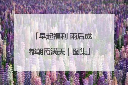 早起福利 雨后成都朝霞满天｜图集