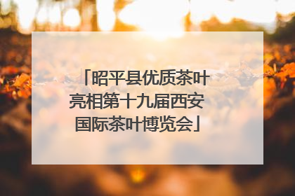 昭平县优质茶叶亮相第十九届西安国际茶叶博览会