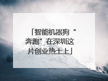 智能机器狗“奔跑”在深圳这片创业热土上