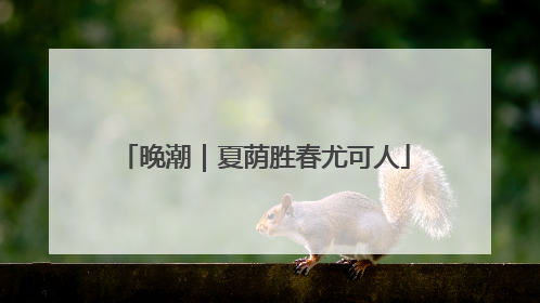晚潮｜夏荫胜春尤可人