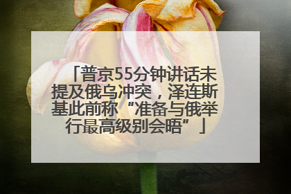 普京55分钟讲话未提及俄乌冲突，泽连斯基此前称“准备与俄举行最高级别会晤”
