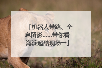 机器人带路、全息留影……带你看海淀超酷现场→
