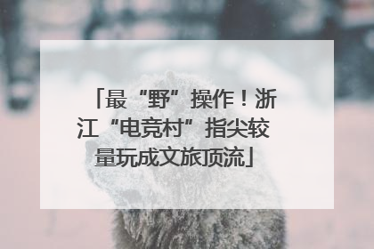 最“野”操作！浙江“电竞村”指尖较量玩成文旅顶流