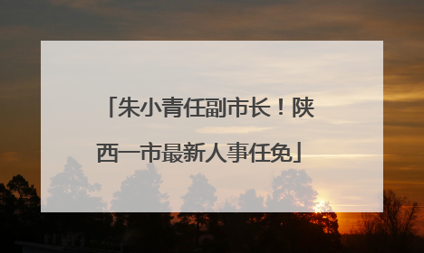 朱小青任副市长！陕西一市最新人事任免