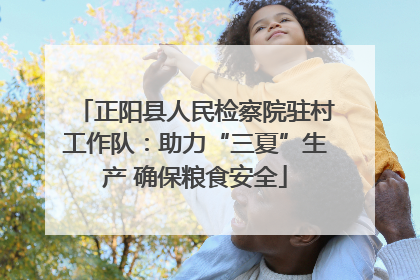 正阳县人民检察院驻村工作队：助力“三夏”生产 确保粮食安全