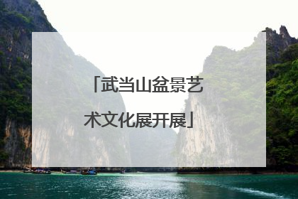 武当山盆景艺术文化展开展