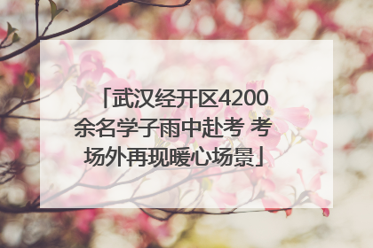武汉经开区4200余名学子雨中赴考 考场外再现暖心场景