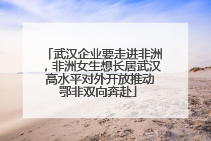 武汉企业要走进非洲，非洲女生想长居武汉 高水平对外开放推动鄂非双向奔赴