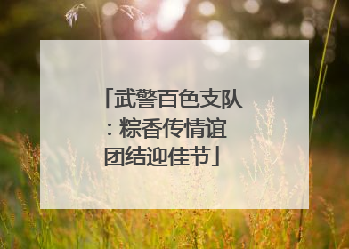 武警百色支队：粽香传情谊 团结迎佳节