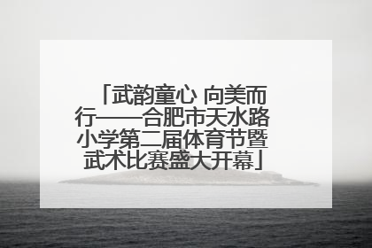 武韵童心 向美而行——合肥市天水路小学第二届体育节暨武术比赛盛大开幕