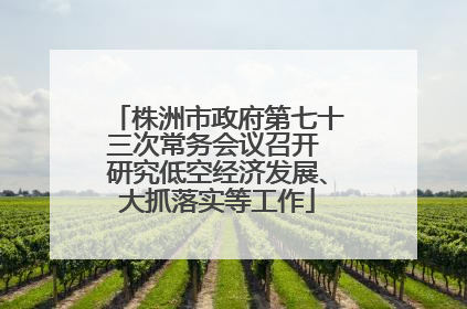株洲市政府第七十三次常务会议召开 研究低空经济发展、大抓落实等工作