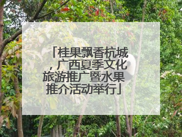 桂果飘香杭城，广西夏季文化旅游推广暨水果推介活动举行