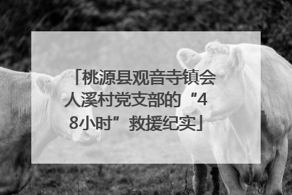 桃源县观音寺镇会人溪村党支部的“48小时”救援纪实