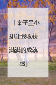 案子虽小却让我收获满满的成就感