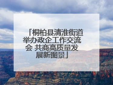 桐柏县清淮街道举办政企工作交流会 共商高质量发展新图景