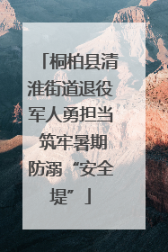 桐柏县清淮街道退役军人勇担当 筑牢暑期防溺“安全堤”