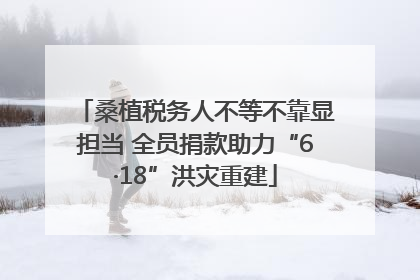 桑植税务人不等不靠显担当 全员捐款助力“6·18”洪灾重建