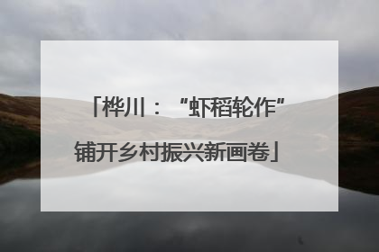 桦川：“虾稻轮作”铺开乡村振兴新画卷