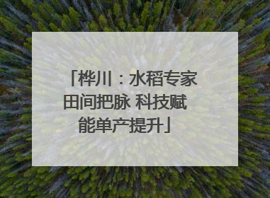 桦川：水稻专家田间把脉 科技赋能单产提升