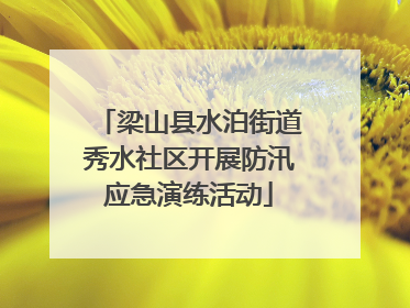梁山县水泊街道秀水社区开展防汛应急演练活动