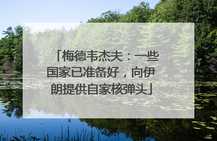 梅德韦杰夫：一些国家已准备好，向伊朗提供自家核弹头