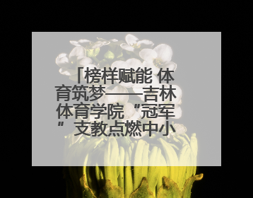 榜样赋能 体育筑梦——吉林体育学院“冠军”支教点燃中小学生梦想