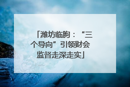 潍坊临朐：“三个导向”引领财会监督走深走实