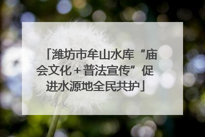 潍坊市牟山水库“庙会文化＋普法宣传”促进水源地全民共护