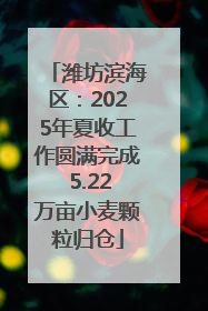 潍坊滨海区：2025年夏收工作圆满完成 5.22万亩小麦颗粒归仓