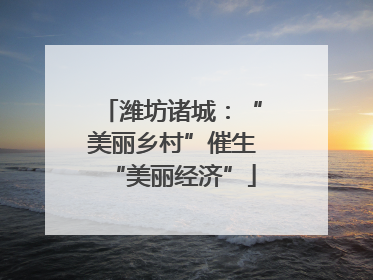 潍坊诸城：“美丽乡村”催生“美丽经济”