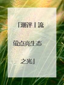 潮评丨流萤点亮生态之光