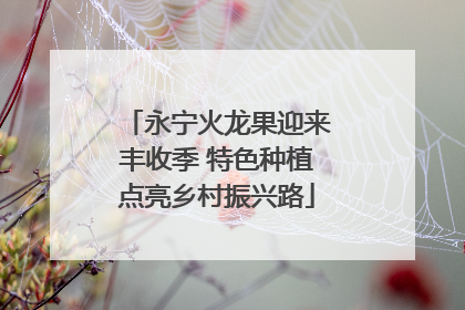 永宁火龙果迎来丰收季 特色种植点亮乡村振兴路