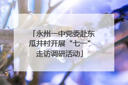 永州一中党委赴东瓜井村开展“七一”走访调研活动