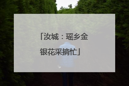 汝城：瑶乡金银花采摘忙