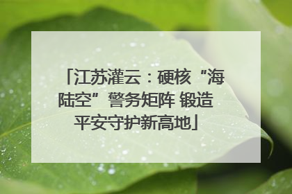 江苏灌云：硬核“海陆空”警务矩阵 锻造平安守护新高地