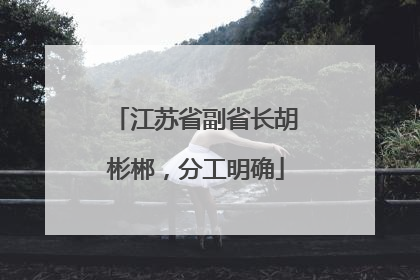 江苏省副省长胡彬郴，分工明确