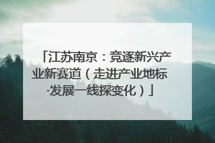 江苏南京：竞逐新兴产业新赛道（走进产业地标·发展一线探变化）