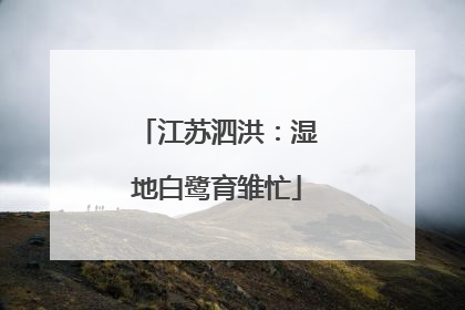 江苏泗洪：湿地白鹭育雏忙