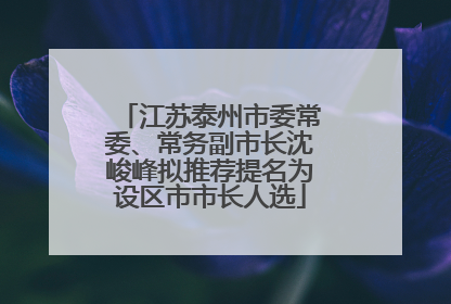 江苏泰州市委常委、常务副市长沈峻峰拟推荐提名为设区市市长人选