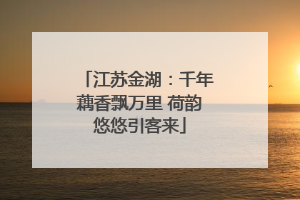 江苏金湖：千年藕香飘万里 荷韵悠悠引客来