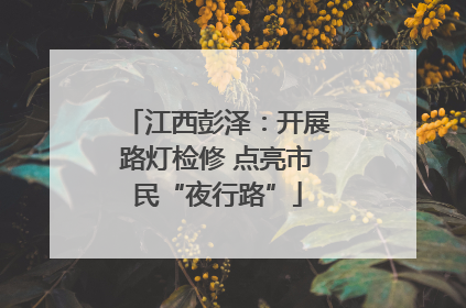 江西彭泽：开展路灯检修 点亮市民“夜行路”