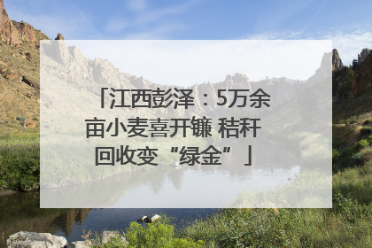 江西彭泽：5万余亩小麦喜开镰 秸秆回收变“绿金”