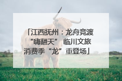 江西抚州：龙舟竞渡“嗨翻天” 临川文旅消费季“龙”重登场