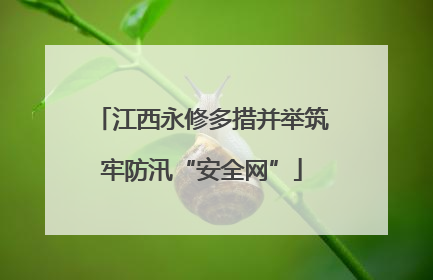 江西永修多措并举筑牢防汛“安全网”